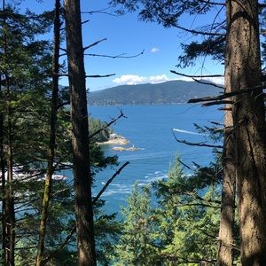 Meet your Posher, Sofia